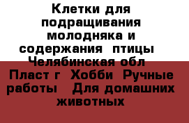 Клетки для подращивания молодняка и содержания  птицы - Челябинская обл., Пласт г. Хобби. Ручные работы » Для домашних животных   